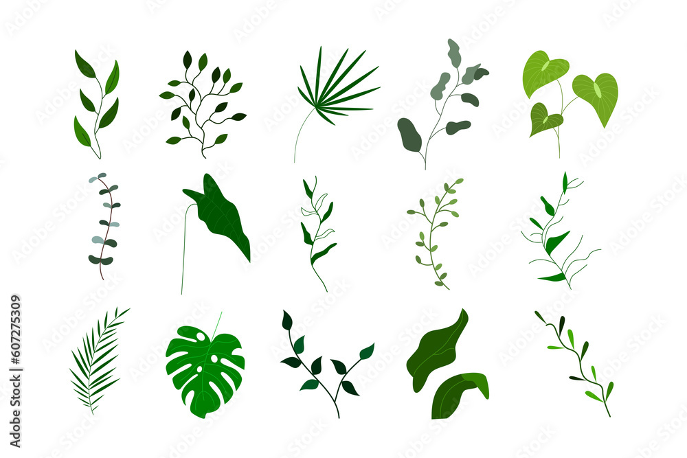 set of tropical leaf element