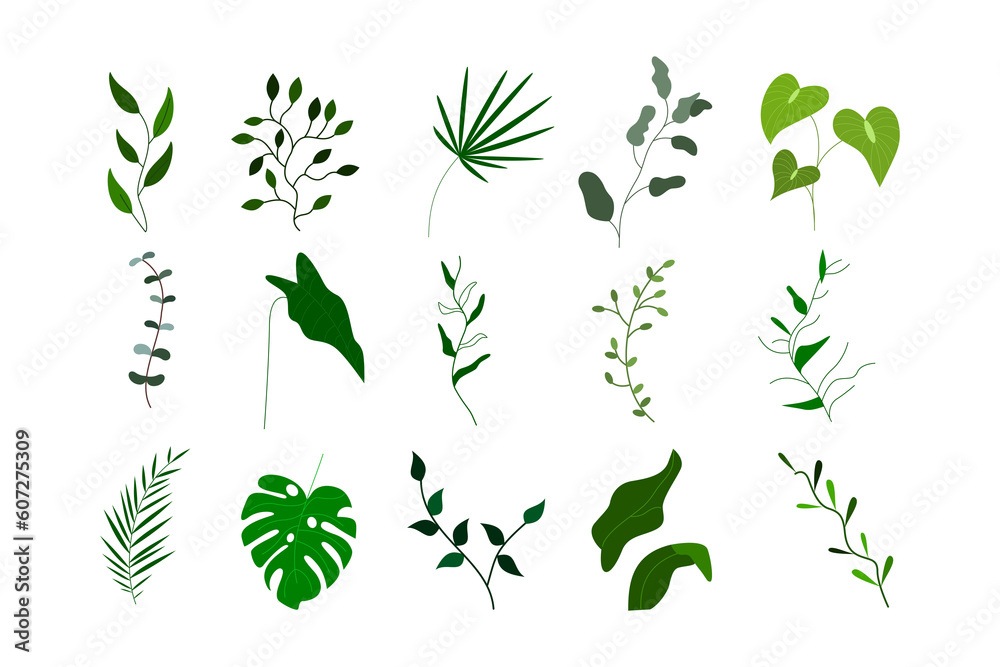 set of tropical leaf element set of tropical leaf element