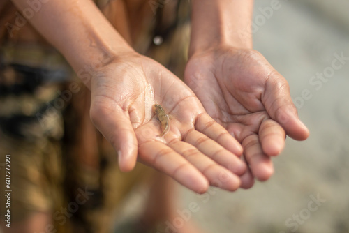 Between two wet hands is a small fish