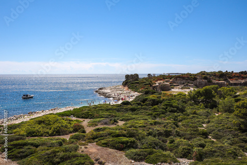 Fototapeta Naklejka Na Ścianę i Meble -  Sveti Jerolim Island in Brijuni National Park with Beach and Green Plant. Brionian Island with Adriatic Sea during Summer Sunny Vacation in Croatia.