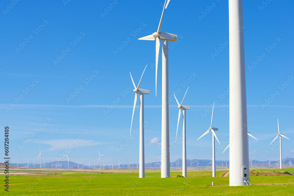 Wind turbine generators for green electricity production Wind turbine generators for green electricity production