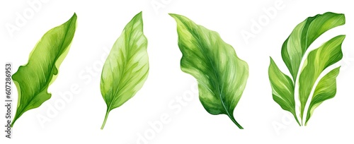 Set of tropical leaves and flowers isolated on white background. Highly detailed plant collection. Generative AI