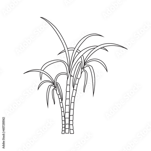 Sugar cane icon