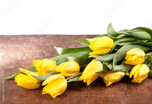 beautiful yellow tulips are isolated on a wooden and white background. Yellow flowers lie on wooden board on white background