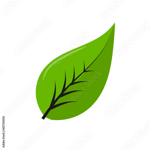 simple leaf vector illustration for icons and design assets. bush illustration design