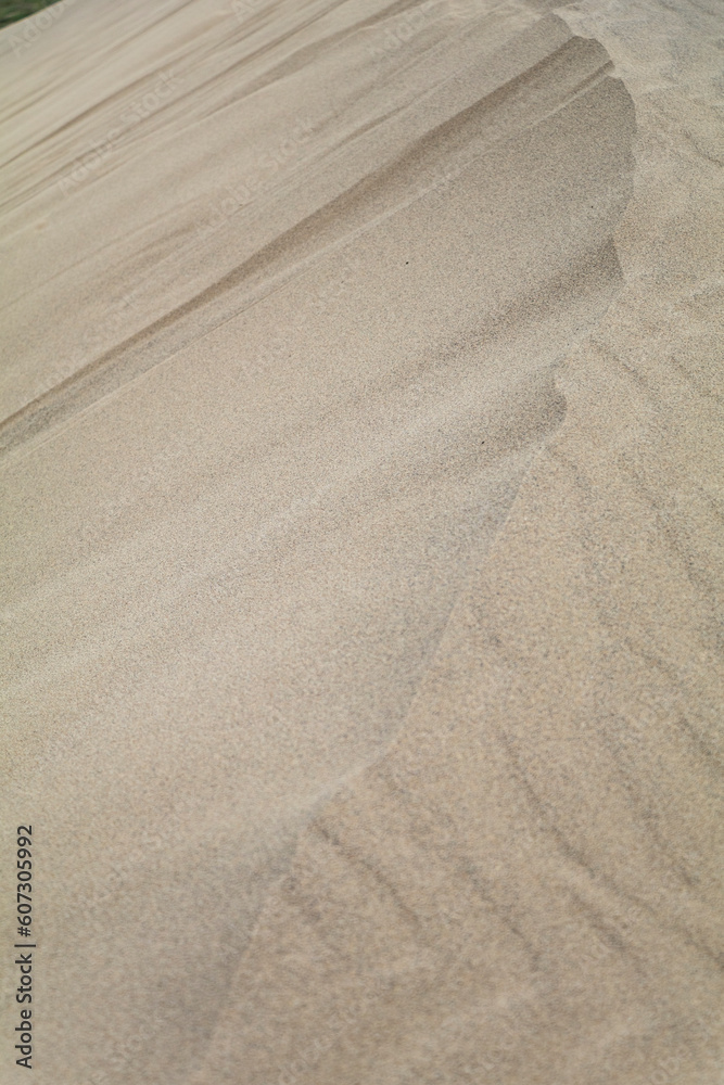 Fototapeta premium 砂の尾根
