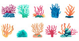 Colorful coral illustrations, illustrations reminiscent of carefree summer vacation, sea, ocean, underwater beautiful corals 