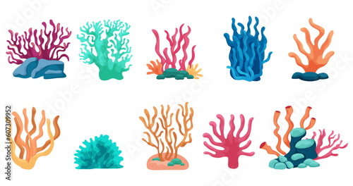 Colorful coral illustrations  illustrations reminiscent of carefree summer vacation  sea  ocean  underwater beautiful corals 