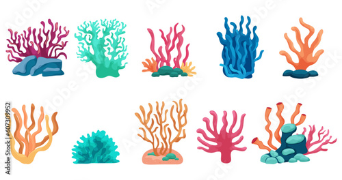 Colorful coral illustrations, illustrations reminiscent of carefree summer vacation, sea, ocean, underwater beautiful corals 