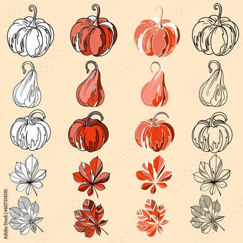 hand drawn set with pumpkins and leaf