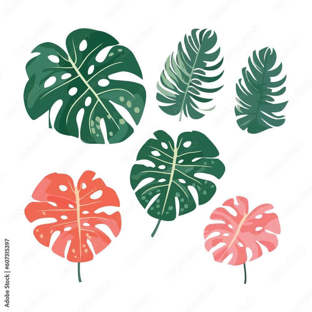 Fototapeta premium Colorful Tropical Monstera leaves cartoon style Vector illustration isolated on white