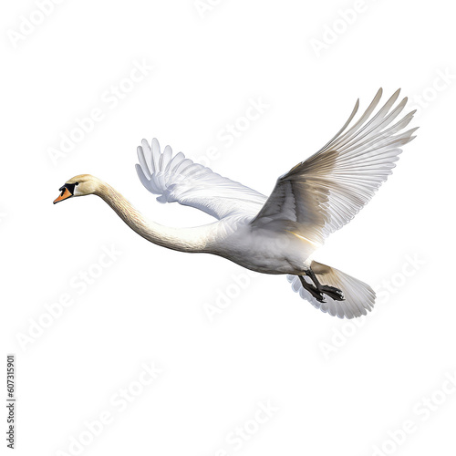 Fototapeta Naklejka Na Ścianę i Meble -  white swan flying on a transparant background, PNG, Generative Ai