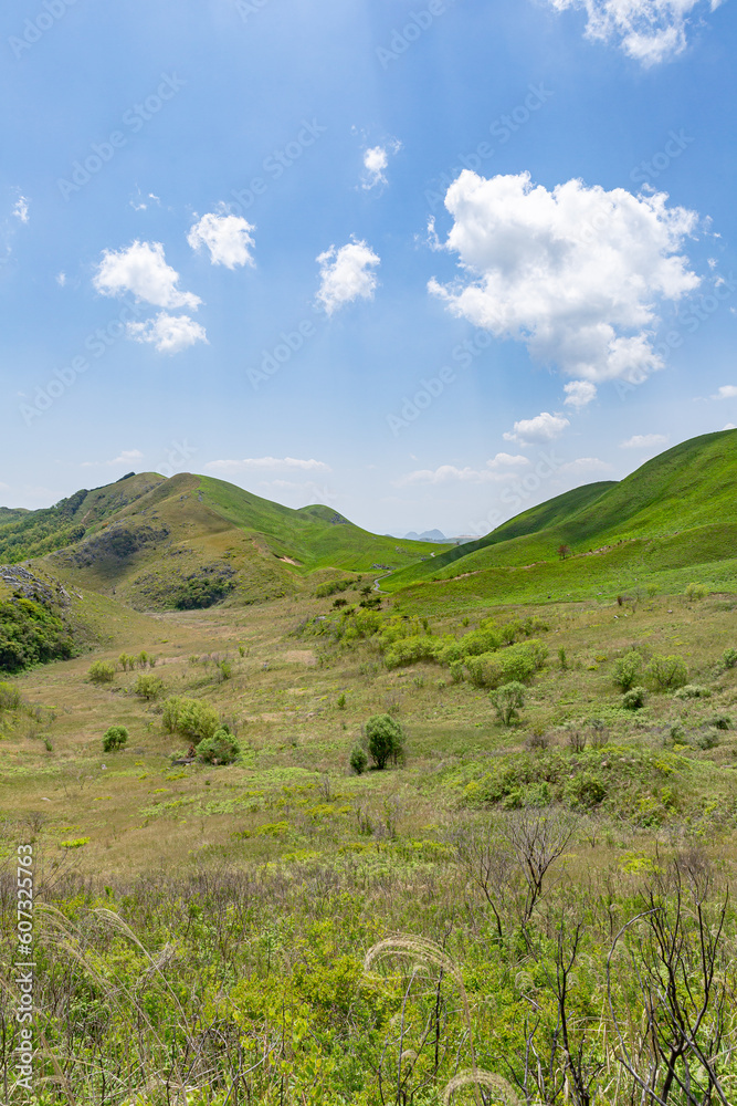 Fototapeta premium 北九州国定公園平尾台 広谷湿原 福岡県京都郡苅田町