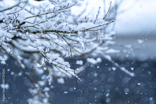 枝に積もる雪　冬のイメージ