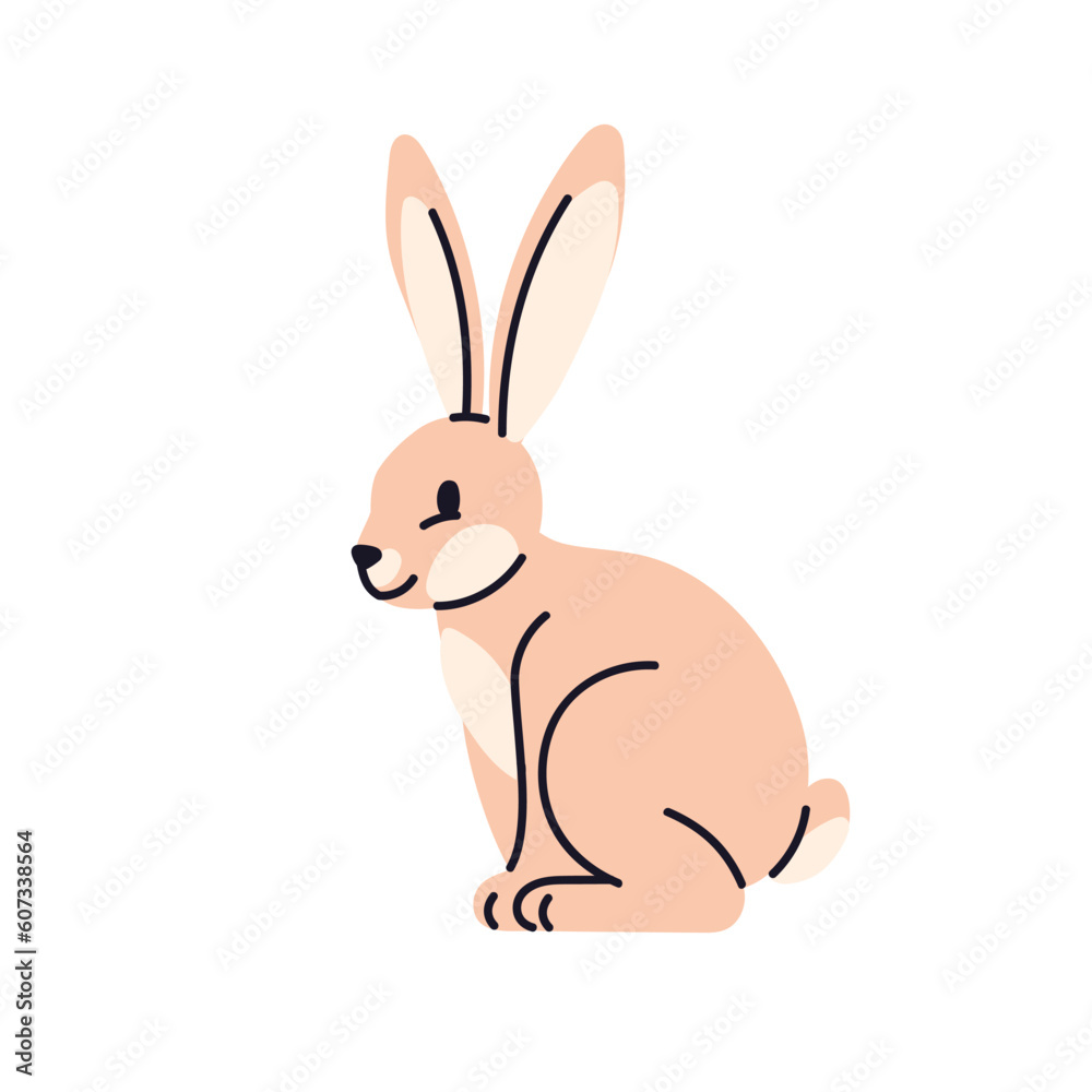 Hare, rabbit, forest animal with long ears. Wild leous, bunny profile. Jackrabbit character sitting, side view. Cute mammal. Flat vector illustration isolated on white background Hare, rabbit, forest animal with long ears. Wild leous, bunny profile. Jackrabbit character sitting, side view. Cute mammal. Flat vector illustration isolated on white background