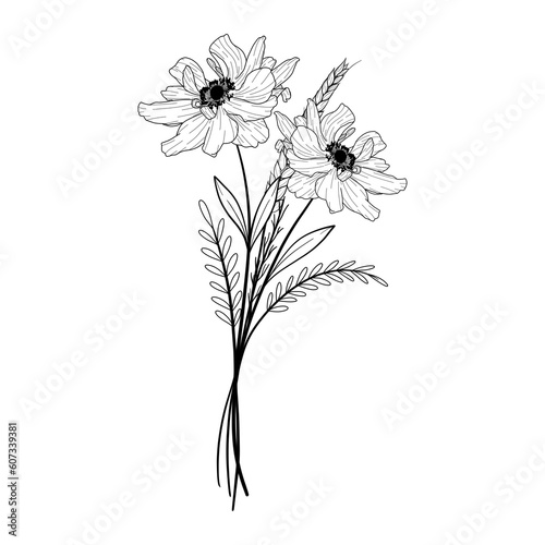 Handdrawn Anemone bouquet line art | outlines | botanicals | flowers | leaves