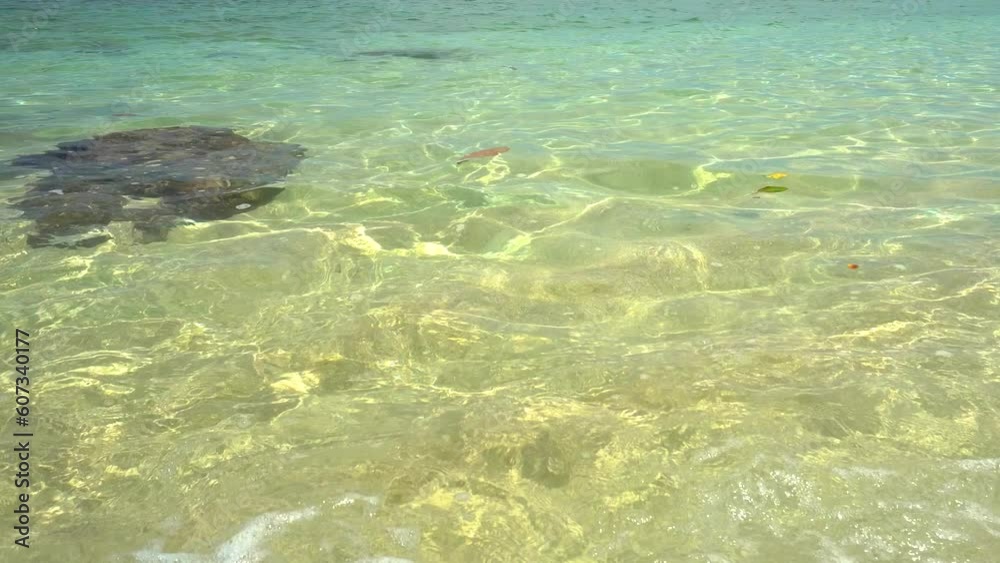 Scenic View Of Sea Against Sky with water space area Scenic View Of Sea Against Sky with water space area