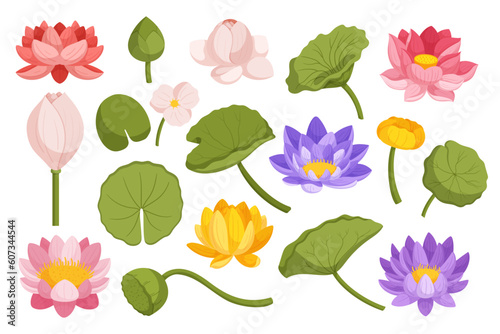 Water Lily And Lotus Set. Collection Of Stunning Water Lily And Lotus Flowers And Leaves, Showcasing Their Elegance