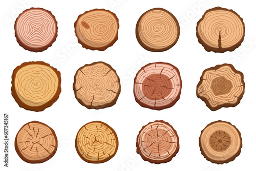 Collection Of Tree Trunk Cross Sections, Displaying Unique Patterns And Textures. Perfect For Rustic Decor, Woodworking