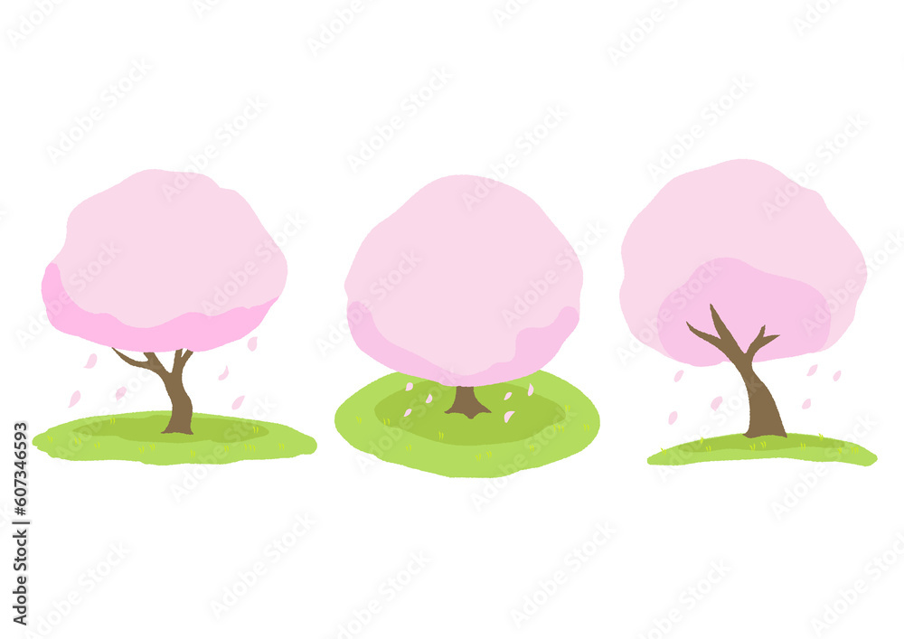 Cherry blossom trees at various angles with petals falling Cherry blossom trees at various angles with petals falling