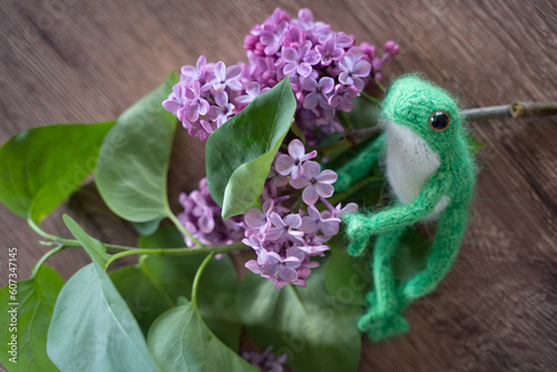 knitted frog toy  with lilac flowers