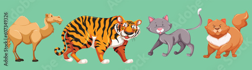 Set of beautiful animal by the greatest graphics