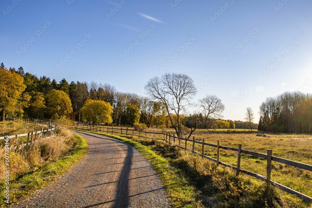 Winding country road with wooden fence under blue sky in Swedish countryside