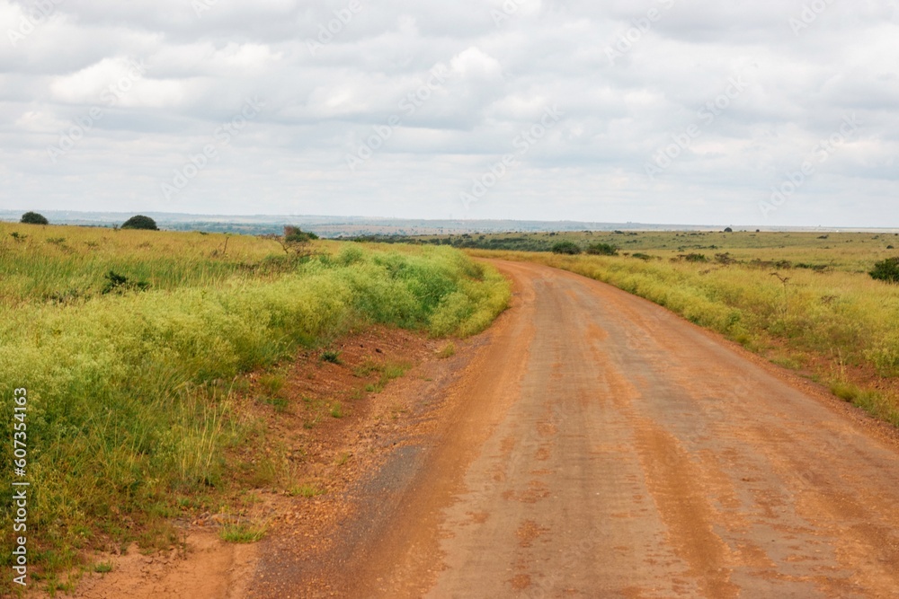 An empty dirt road against sky in Nairobi National Park, Kenya