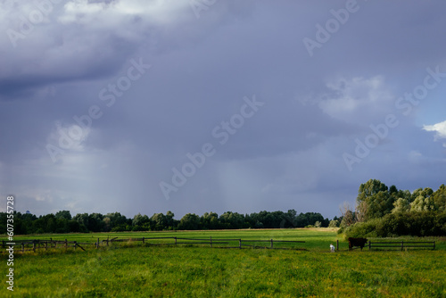 Stunning rural landscape with dark sky over fresh green field, changing stormy weather in summer countryside, pouring rain with sun