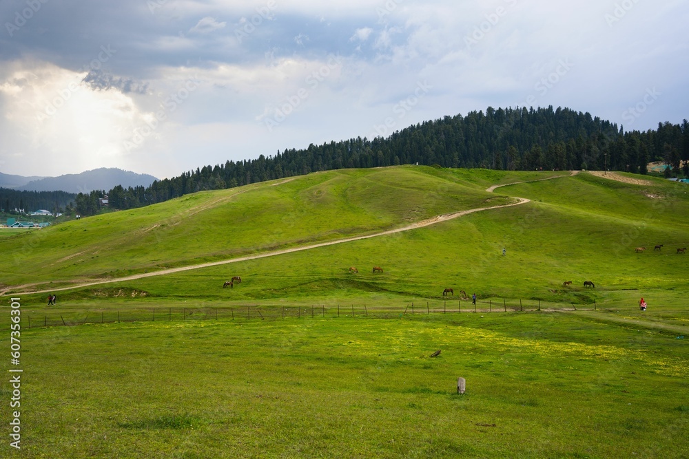 Aerial view of the green rural fields of Gulmarg, Baramulla, Jammu and Kashmir, India