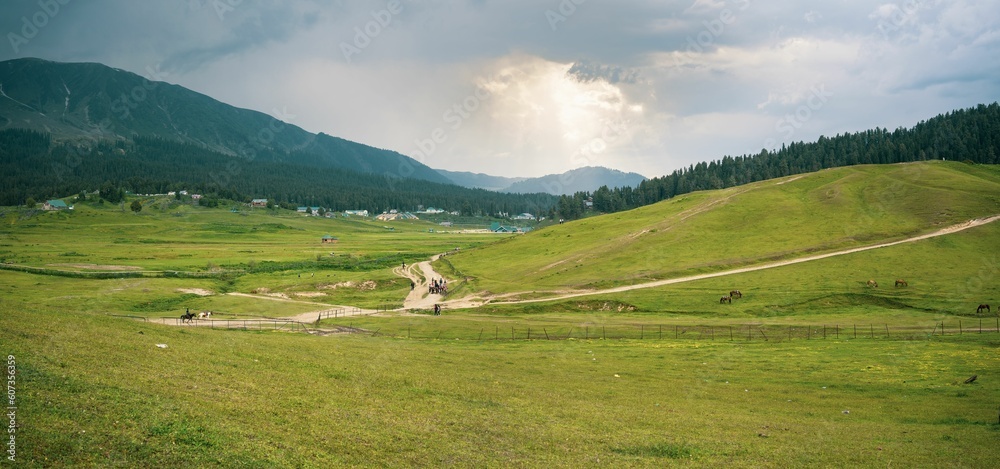 Aerial view of the green rural fields of Gulmarg, Baramulla, Jammu and Kashmir, India