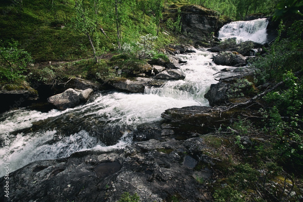 Scenic landscape of a river in a forest Scenic landscape of a river in a forest