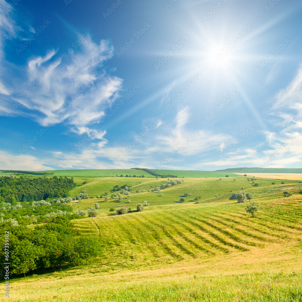 Green meadow on a hilly landscape and sun in the blue sky.