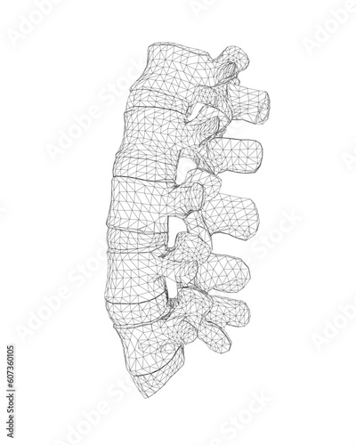 Vector illustration spine diagnostic symbol, design, sign. Vector icon. Line design. Spine bones and structure. Medicine and anatomy. Anatomical wireframe structure of man. Concept illustration..