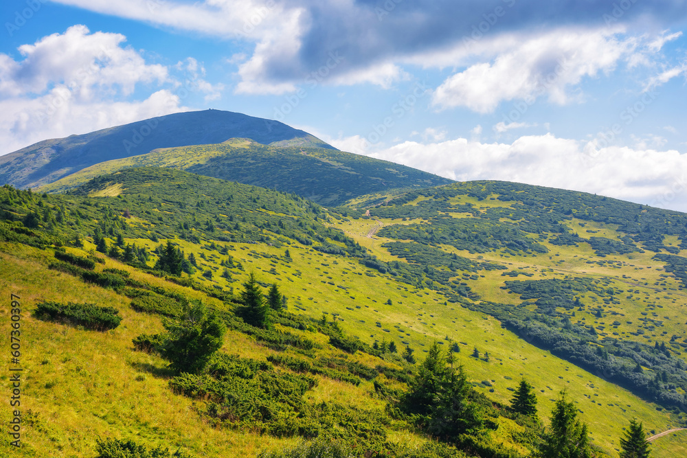 carpathian mountain ridge in summer. steep forested slopes of petros mountain. bright sunny weather. popular travel destination of ukraine