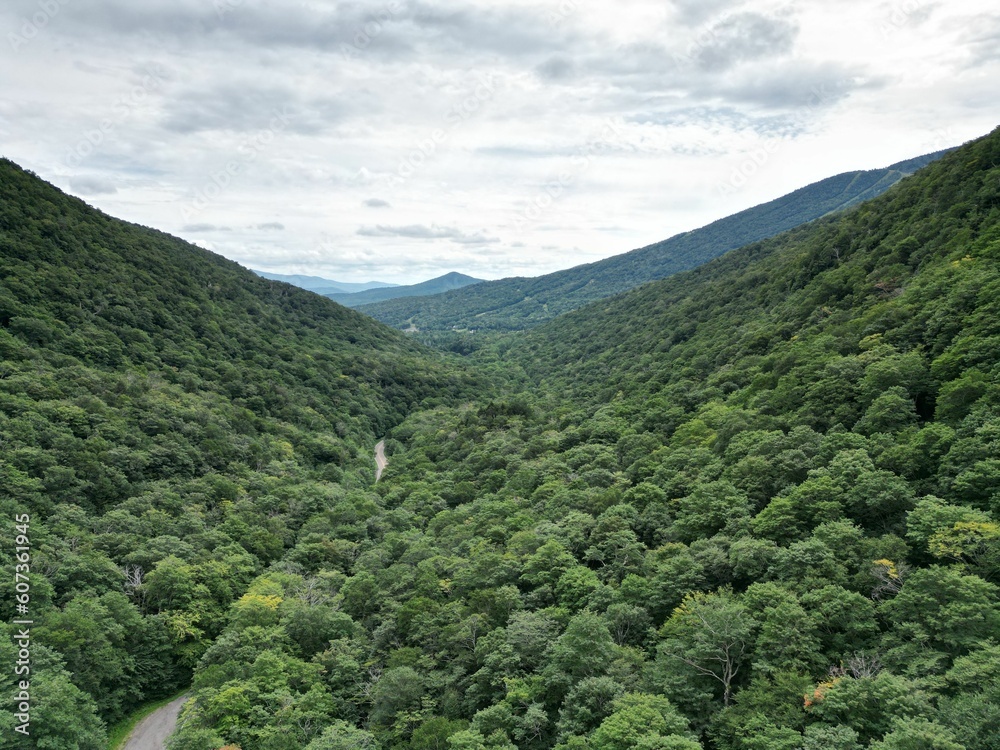 Aerial shot of a road in the middle of a forest and mountains under a cloudy sky