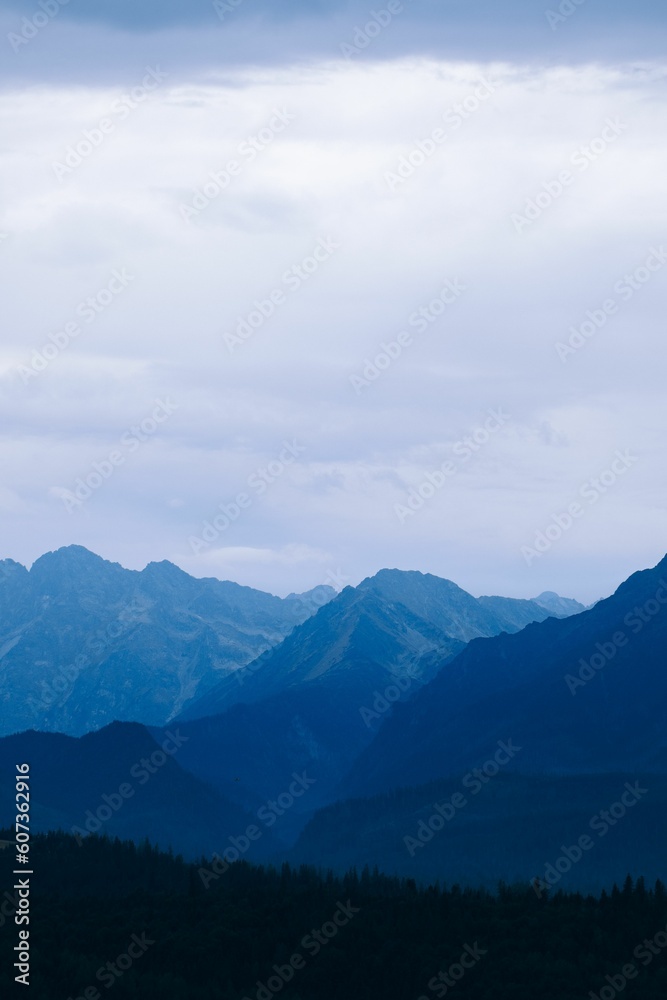 Layers of a mountain range in shades of blue, vertical