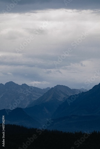 Layers of mountain range in shades of blue, vertical © Julia Mleczko/Wirestock Creators