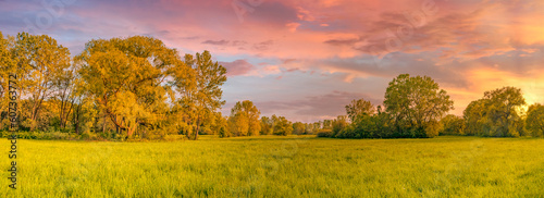 Tranquil nature landscape panorama. Sunset sky clouds closeup fields fresh meadow. Idyllic spring summer sunny dawn in field. Beautiful natural panoramic colorful countryside. Forest sun rays, bright