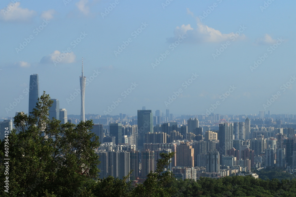 Fototapeta premium plant in the city