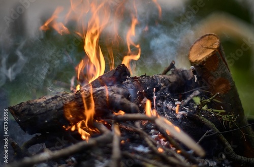 Closeup shot of newly placed firewood blazing in a campfire