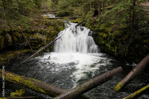 Fototapeta Naklejka Na Ścianę i Meble -  Clearwater Falls in Oregon, in Umpqua National Forest