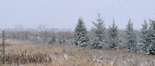 Wallpaper Mural Wide-angle shot of a field full of vegetation covered in snow during winter Torontodigital.ca