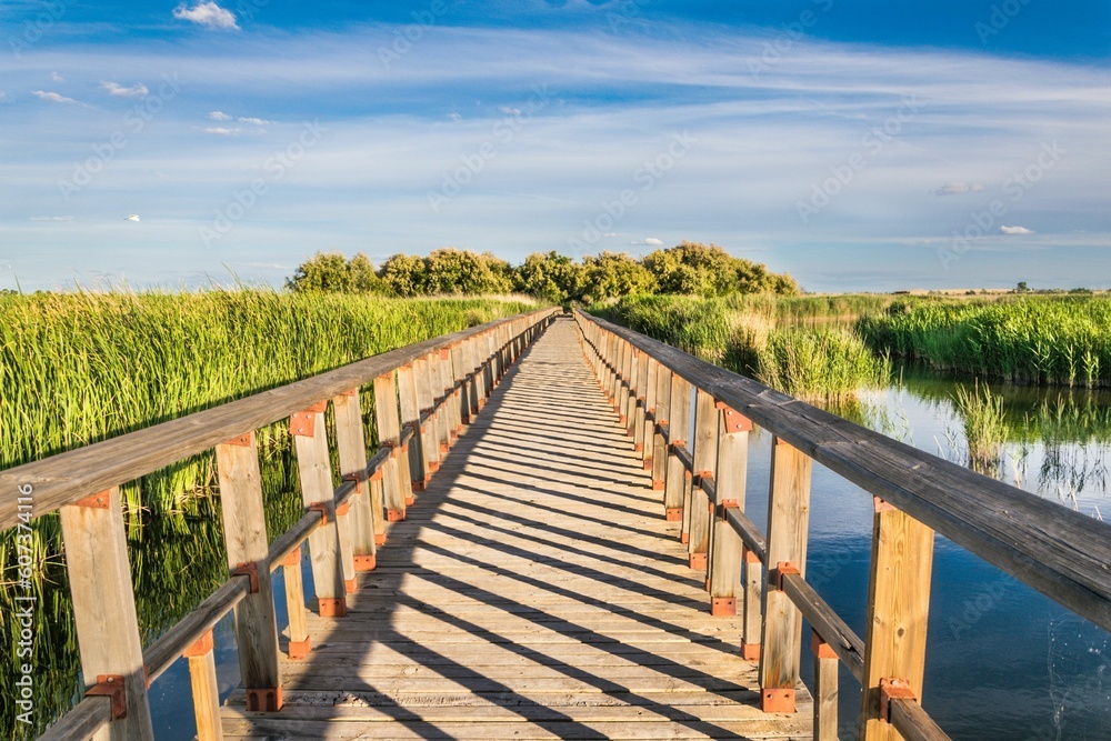 Wooden footbridge above water area with lush green grass and plants in a national park in Spain