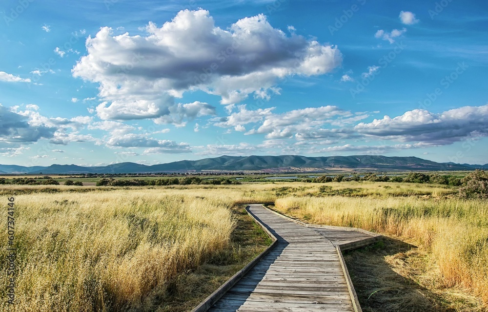 Wooden footbridge through brown grass under blue cloudy sky in a national park in Spain