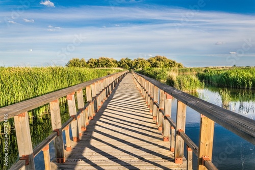 Wooden footbridge above water area with lush green grass and plants in a national park in Spain