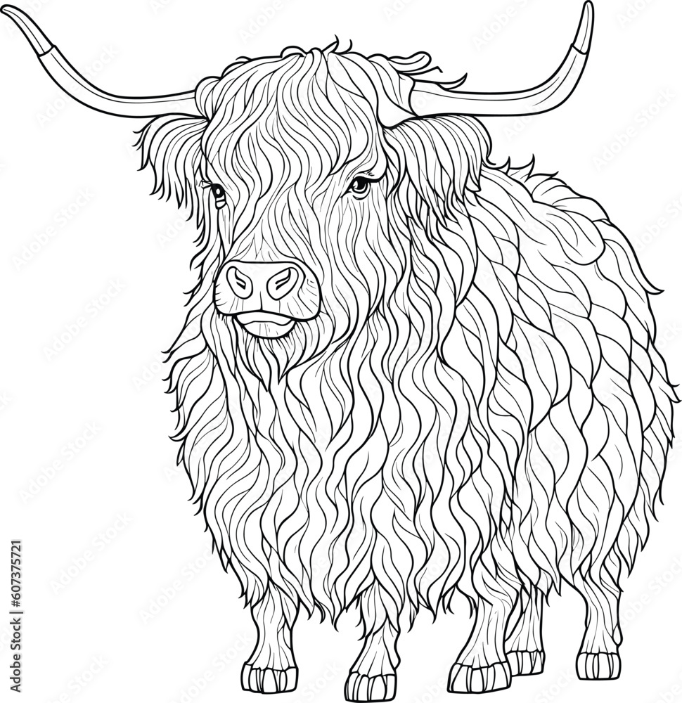 highland cow coloring pages for kids Stock Vector | Adobe Stock