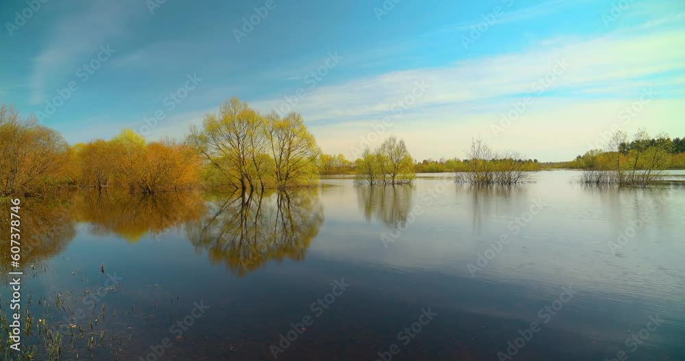 4k Time-lapse. Trees That Standing In Water During Spring Flood Floodwaters. Bold Bright Blue Sky Above Nature Landscape During Spring Flood. Amazing Reflections In River. Musical Calmness Concept. 4k Time-lapse. Trees That Standing In Water During Spring Flood Floodwaters. Bold Bright Blue Sky Above Nature Landscape During Spring Flood. Amazing Reflections In River. Musical Calmness Concept.