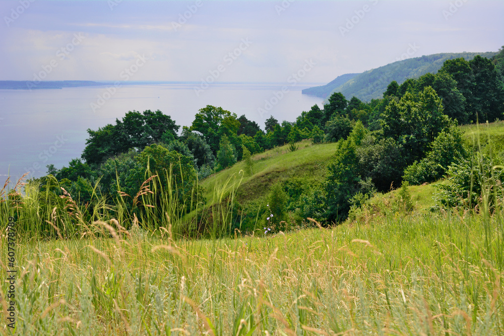 Obraz premium green hill with trees on the edge of the lake, copy space