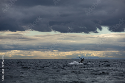 silhouette of a surfer